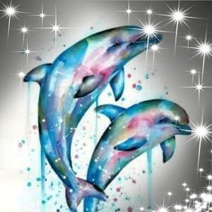 Meet your Posher, Lorrie